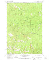 Elevation Mountain Montana Historical topographic map, 1:24000 scale, 7.5 X 7.5 Minute, Year 1965