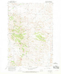 Elk Ridge Montana Historical topographic map, 1:24000 scale, 7.5 X 7.5 Minute, Year 1966