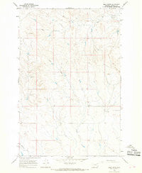 Emma Butte Montana Historical topographic map, 1:24000 scale, 7.5 X 7.5 Minute, Year 1965