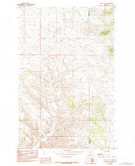 Eskay NE Montana Historical topographic map, 1:24000 scale, 7.5 X 7.5 Minute, Year 1984