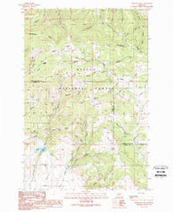 Esmeralda Hill Montana Historical topographic map, 1:24000 scale, 7.5 X 7.5 Minute, Year 1989