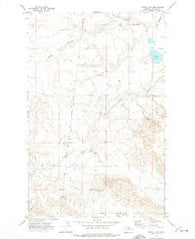 Ester Lake Montana Historical topographic map, 1:24000 scale, 7.5 X 7.5 Minute, Year 1971