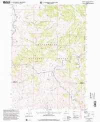 Eureka Basin Montana Historical topographic map, 1:24000 scale, 7.5 X 7.5 Minute, Year 1997