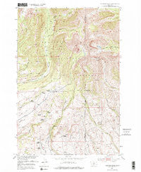 Fairview Peak Montana Historical topographic map, 1:24000 scale, 7.5 X 7.5 Minute, Year 1951