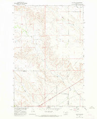 Fallon NE Montana Historical topographic map, 1:24000 scale, 7.5 X 7.5 Minute, Year 1967