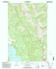 Felix Peak Montana Historical topographic map, 1:24000 scale, 7.5 X 7.5 Minute, Year 1994