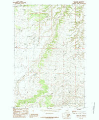 Fergus NE Montana Historical topographic map, 1:24000 scale, 7.5 X 7.5 Minute, Year 1985