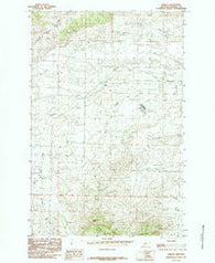 Fergus Montana Historical topographic map, 1:24000 scale, 7.5 X 7.5 Minute, Year 1985