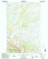 Fish Lake Montana Historical topographic map, 1:24000 scale, 7.5 X 7.5 Minute, Year 1995