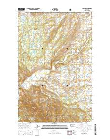 Fish Lake Montana Current topographic map, 1:24000 scale, 7.5 X 7.5 Minute, Year 2014
