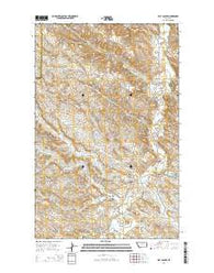 Flat Coulee Montana Current topographic map, 1:24000 scale, 7.5 X 7.5 Minute, Year 2014