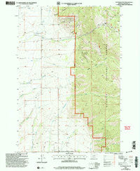 Flathead Pass Montana Historical topographic map, 1:24000 scale, 7.5 X 7.5 Minute, Year 2000