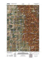 Flathead Pass Montana Historical topographic map, 1:24000 scale, 7.5 X 7.5 Minute, Year 2011