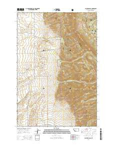Flathead Pass Montana Current topographic map, 1:24000 scale, 7.5 X 7.5 Minute, Year 2014