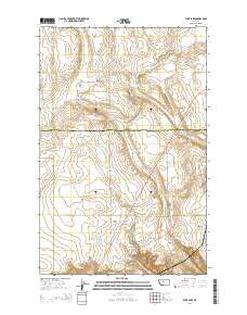 Flick Lake Montana Current topographic map, 1:24000 scale, 7.5 X 7.5 Minute, Year 2014