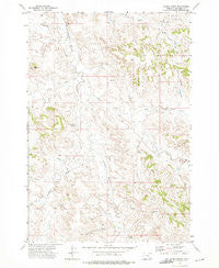 Forks Ranch Montana Historical topographic map, 1:24000 scale, 7.5 X 7.5 Minute, Year 1972