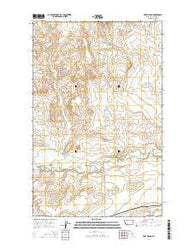 Fort Piegan Montana Current topographic map, 1:24000 scale, 7.5 X 7.5 Minute, Year 2014