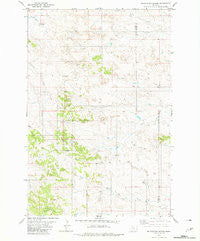 Foundation Spring Montana Historical topographic map, 1:24000 scale, 7.5 X 7.5 Minute, Year 1981