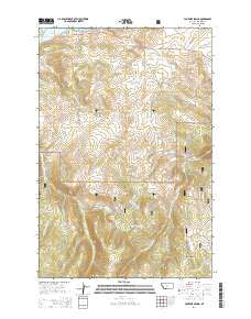 Fourmile Spring Montana Current topographic map, 1:24000 scale, 7.5 X 7.5 Minute, Year 2014