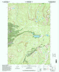 Fred Burr Lake Montana Historical topographic map, 1:24000 scale, 7.5 X 7.5 Minute, Year 1996