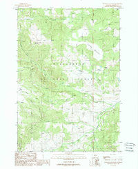 Freezeout Mountain Montana Historical topographic map, 1:24000 scale, 7.5 X 7.5 Minute, Year 1988