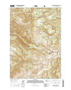 Freezeout Mountain Montana Current topographic map, 1:24000 scale, 7.5 X 7.5 Minute, Year 2014