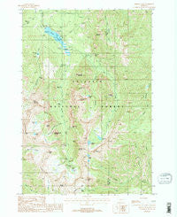 Fridley Peak Montana Historical topographic map, 1:24000 scale, 7.5 X 7.5 Minute, Year 1988