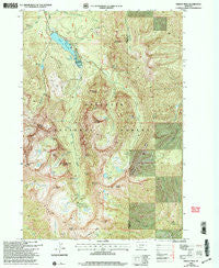 Fridley Peak Montana Historical topographic map, 1:24000 scale, 7.5 X 7.5 Minute, Year 2000