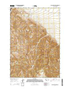 Gallagher Mountain Montana Current topographic map, 1:24000 scale, 7.5 X 7.5 Minute, Year 2014