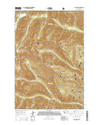 Gash Point Montana Current topographic map, 1:24000 scale, 7.5 X 7.5 Minute, Year 2014