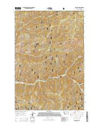 Gird Point Montana Current topographic map, 1:24000 scale, 7.5 X 7.5 Minute, Year 2014