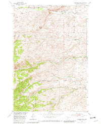 Gobblers Knob Montana Historical topographic map, 1:24000 scale, 7.5 X 7.5 Minute, Year 1951