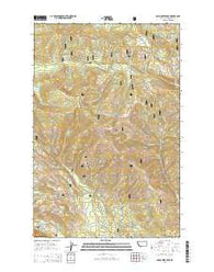 Gold Creek Peak Montana Current topographic map, 1:24000 scale, 7.5 X 7.5 Minute, Year 2014
