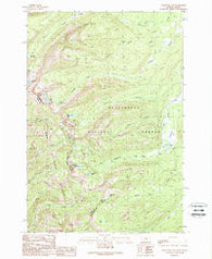 Goldstone Pass Montana Historical topographic map, 1:24000 scale, 7.5 X 7.5 Minute, Year 1989