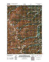 Goldstone Pass Montana Historical topographic map, 1:24000 scale, 7.5 X 7.5 Minute, Year 2011