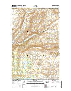 Goose Lake Montana Current topographic map, 1:24000 scale, 7.5 X 7.5 Minute, Year 2014