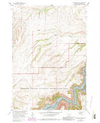 Grapevine Dome Montana Historical topographic map, 1:24000 scale, 7.5 X 7.5 Minute, Year 1964