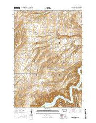 Grapevine Dome Montana Current topographic map, 1:24000 scale, 7.5 X 7.5 Minute, Year 2014