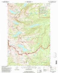 Gray Wolf Lake Montana Historical topographic map, 1:24000 scale, 7.5 X 7.5 Minute, Year 1994