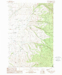 Grayhorse Creek Montana Historical topographic map, 1:24000 scale, 7.5 X 7.5 Minute, Year 1989