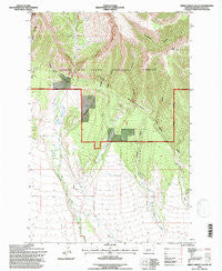 Green Ashley Gulch Montana Historical topographic map, 1:24000 scale, 7.5 X 7.5 Minute, Year 1995
