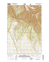 Green Ashly Gulch Montana Current topographic map, 1:24000 scale, 7.5 X 7.5 Minute, Year 2014