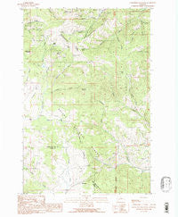 Greenhorn Mountain Montana Historical topographic map, 1:24000 scale, 7.5 X 7.5 Minute, Year 1989