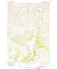 Griffin Coulee SW Montana Historical topographic map, 1:24000 scale, 7.5 X 7.5 Minute, Year 1971