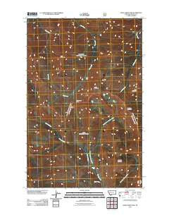 Hahn Creek Pass Montana Historical topographic map, 1:24000 scale, 7.5 X 7.5 Minute, Year 2011