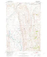 Hamen Montana Historical topographic map, 1:24000 scale, 7.5 X 7.5 Minute, Year 1951