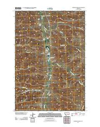 Hammond Ranch Montana Historical topographic map, 1:24000 scale, 7.5 X 7.5 Minute, Year 2011