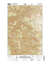 Harvey Point Montana Current topographic map, 1:24000 scale, 7.5 X 7.5 Minute, Year 2014
