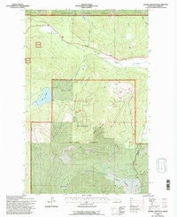 Haskill Mountain Montana Historical topographic map, 1:24000 scale, 7.5 X 7.5 Minute, Year 1994