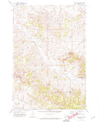 Hayes Point Montana Historical topographic map, 1:24000 scale, 7.5 X 7.5 Minute, Year 1971